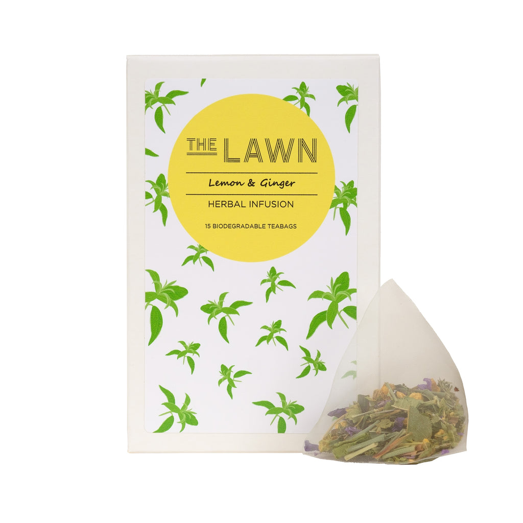 LEMON & GINGER TEA Herbal Tea, 15 Pyramid Tea Bags